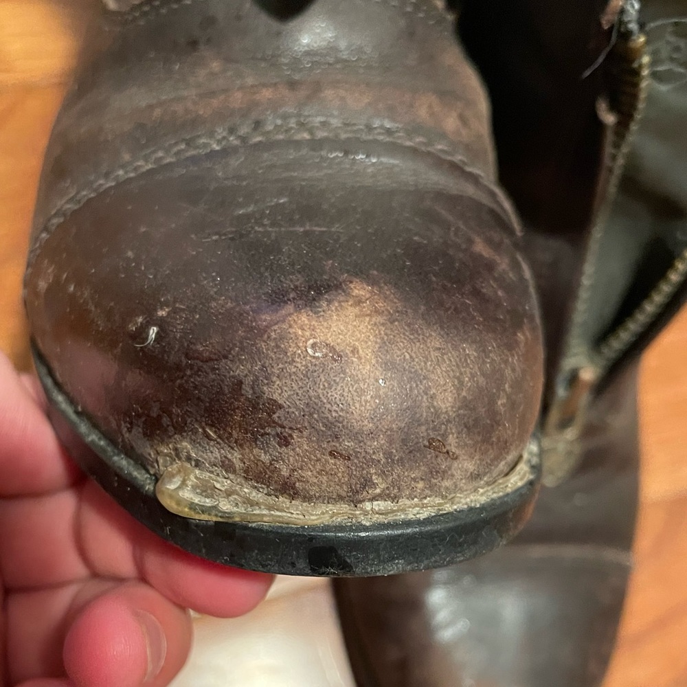 Ariat paddock boots